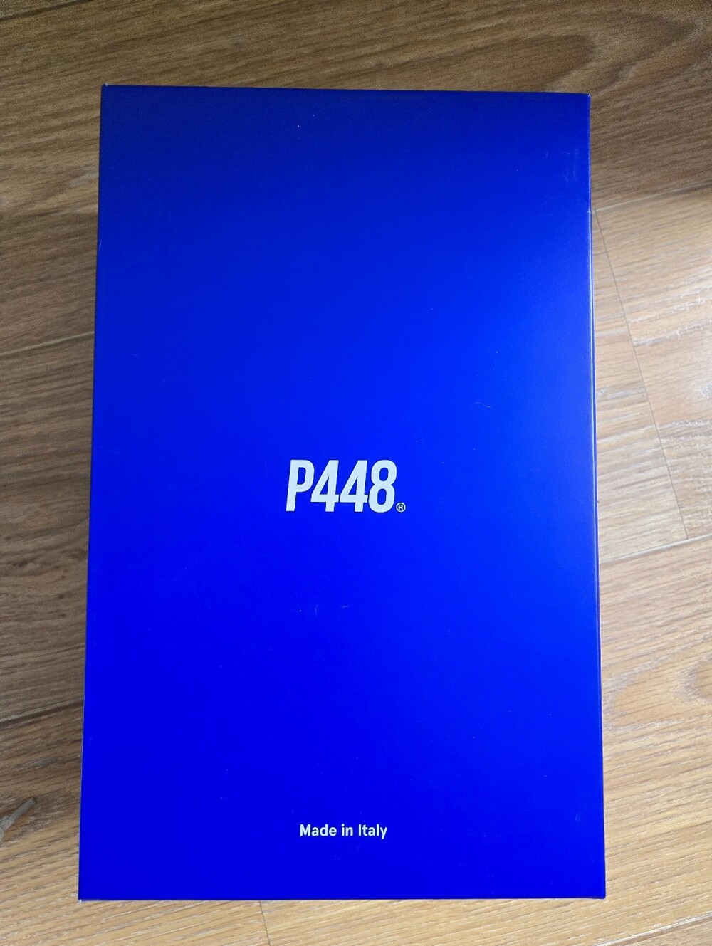 P448 Skate Sneakers
